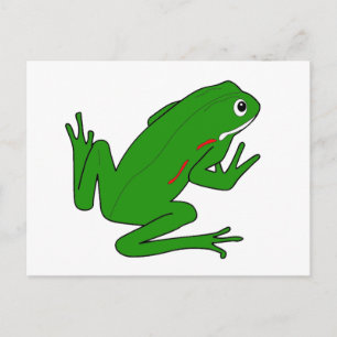 POSTAL FROG