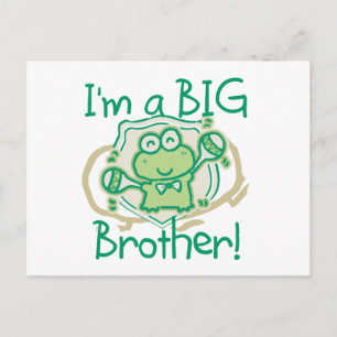 Postal Frog Big Brother