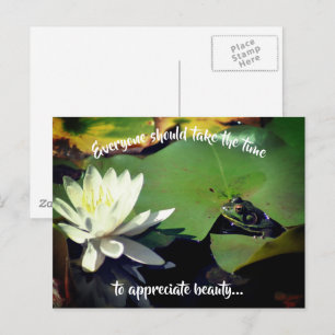 Postal Frog Water Lily Beauty Inspirador