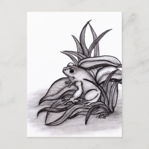 Postal Froggy