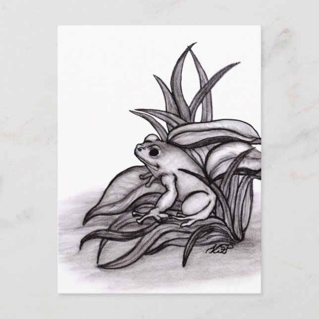 Postal Froggy (Anverso)