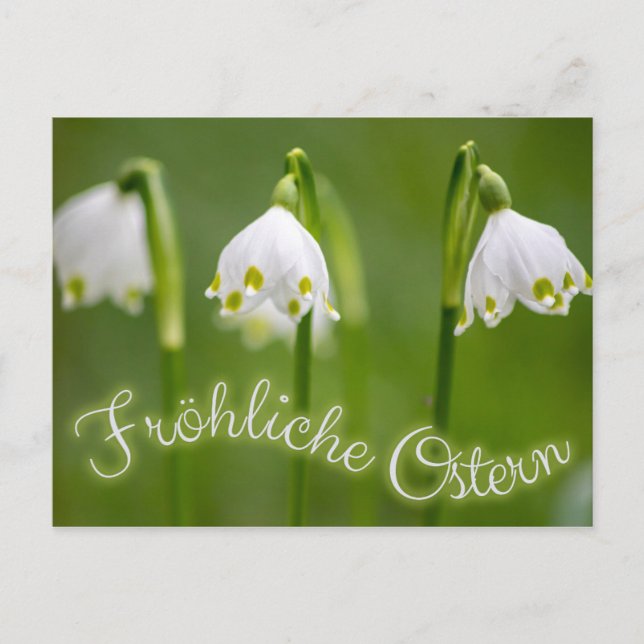 Postal ¡Frohe Ostern für Deine Liebsten! (Anverso)