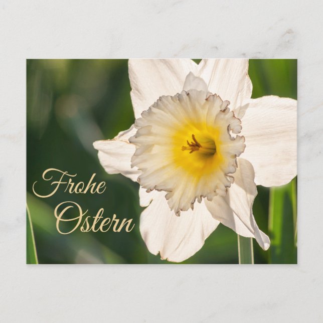 Postal Frohe Ostern mit Blumengruß (Anverso)