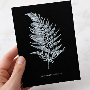 Postal Fronde de Helecho Ocra, Gymnogramma Ochracea