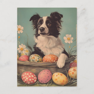 Postal Frontera Collie Vintage Easter