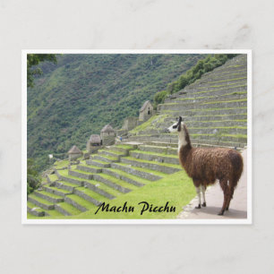 Postal frontera de llama de perú