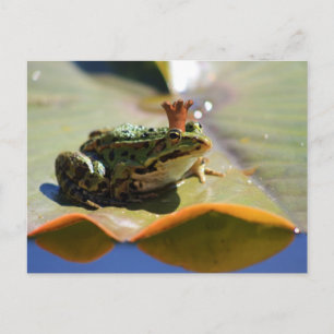 Postal Froschkönig