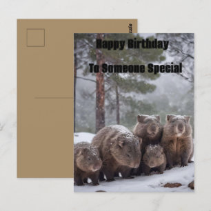 Postal Frozen Burrow: Familia Wombat australiana, cumplea