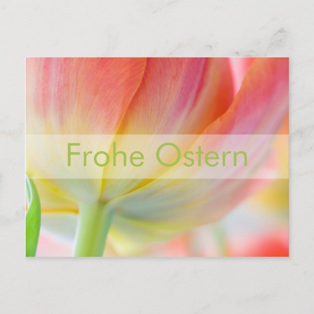 Postal Fruehling ・ Oster-Postkarte (Anverso)