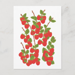 Postal Fruta de frambuesa