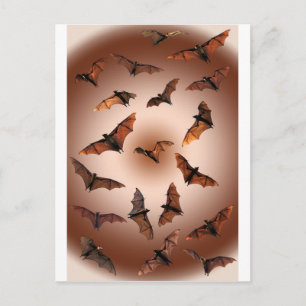 Postal Fruta de Halloween espeluznante (zorros voladores)