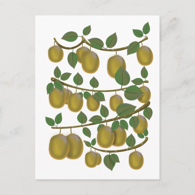 Postal Fruta de kiwi (Anverso)