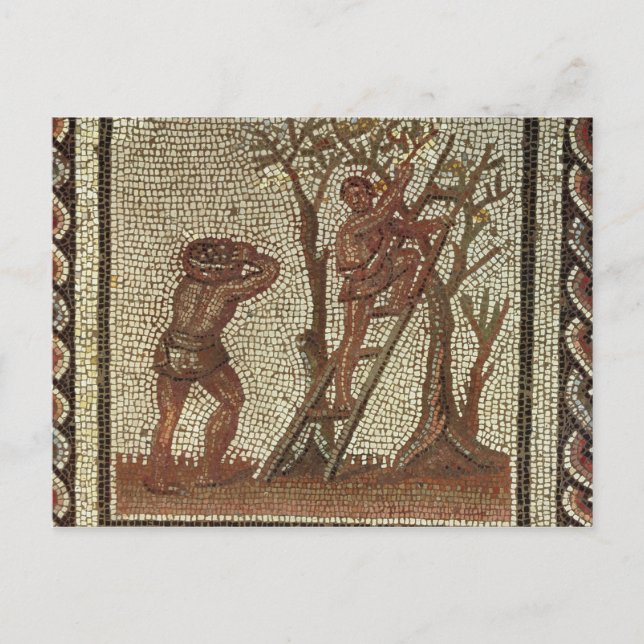Postal Fruta de la cosecha, mosaico romano (Anverso)