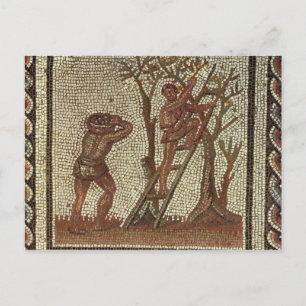 Postal Fruta de la cosecha, mosaico romano