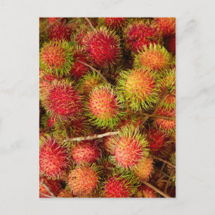 Postal Fruta de Rambutan en el mercado Can Duoc