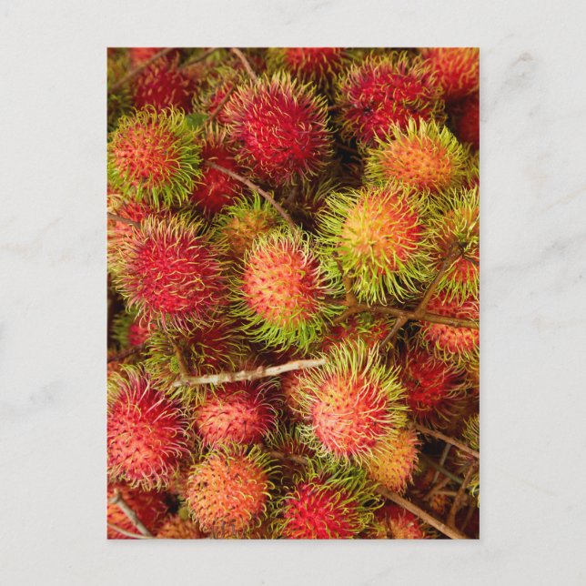 Postal Fruta de rambután en el mercado de Can Duoc (Anverso)