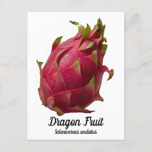 Postal Fruta del dragón