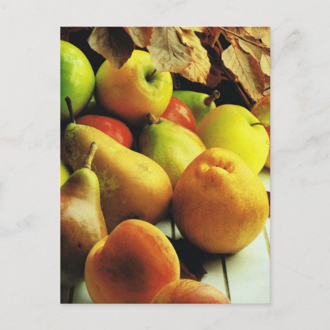 Postal Fruta y verduras, manzanas y peras (Anverso)