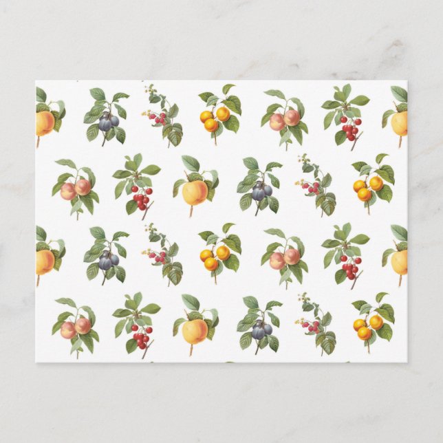 Postal frutas botánicas vintage modernas (Anverso)