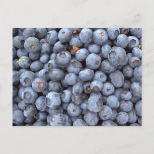 Postal frutas de arándano, foto tomada en una granja de a