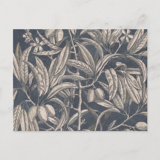 Postal Frutas y flores de vintage (Anverso)