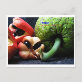 Postal Frutas y frutos de pan de los ackee jamaiquinos