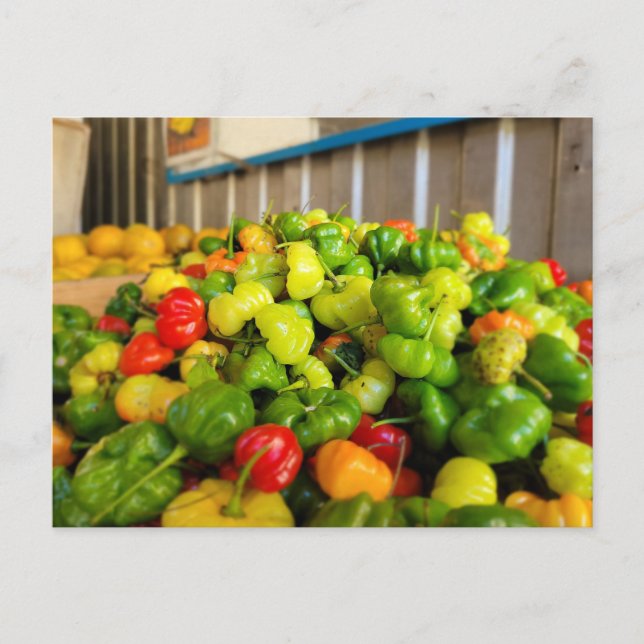 Postal Frutera Aji Dulce (Anverso)