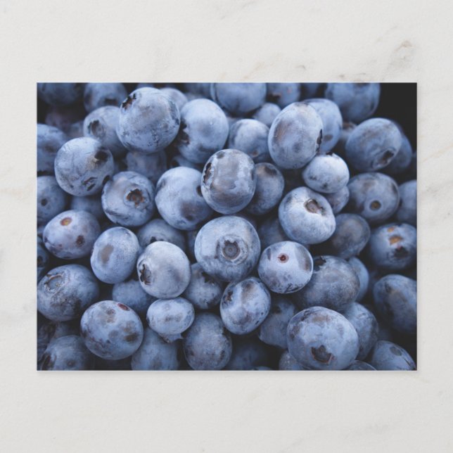 POSTAL FRUTOS DE FOTOGRAFÍA DE BLUEBERRIES SALUDABLES (Anverso)