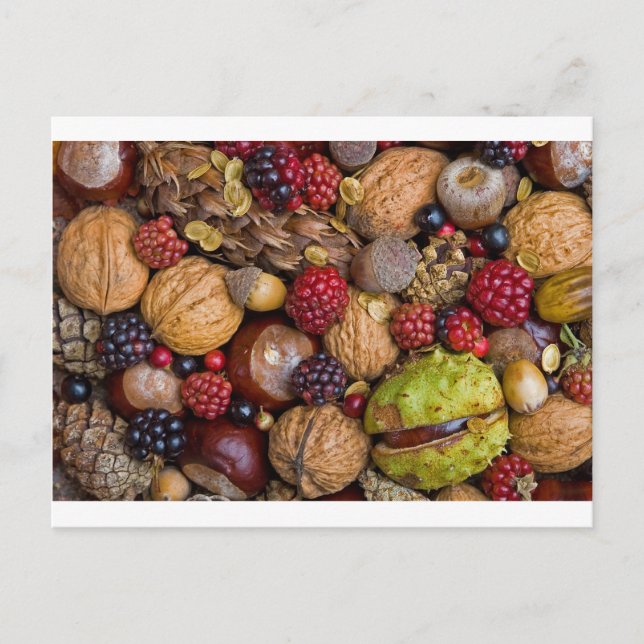 Postal Frutos de otoño (Anverso)