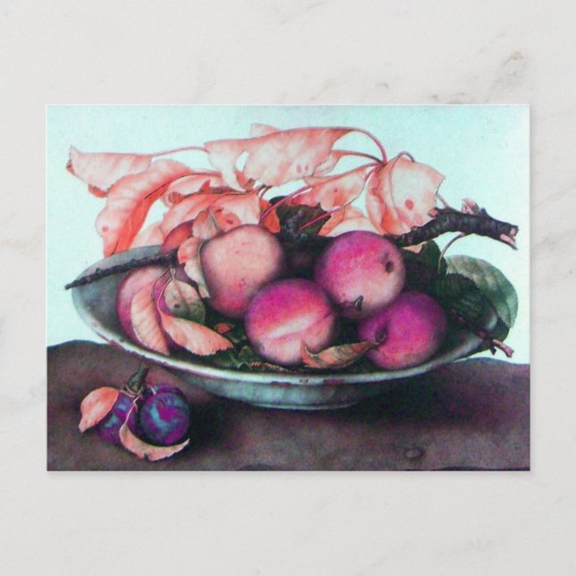 POSTAL FRUTOS DE TEMPORADA 2 (Anverso)