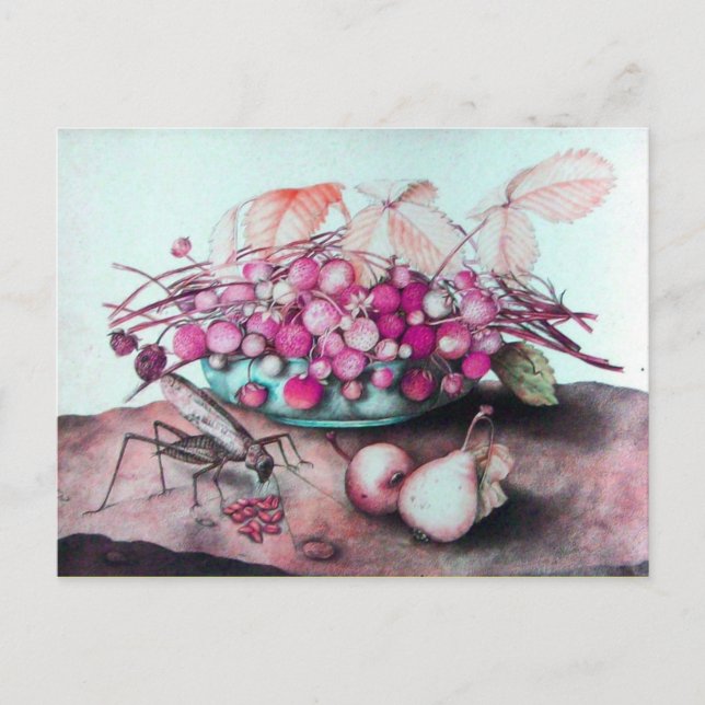 POSTAL FRUTOS DE TEMPORADA 3 (Anverso)