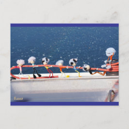Postal Fubby's die een lijn lieren van een Zeilboot.