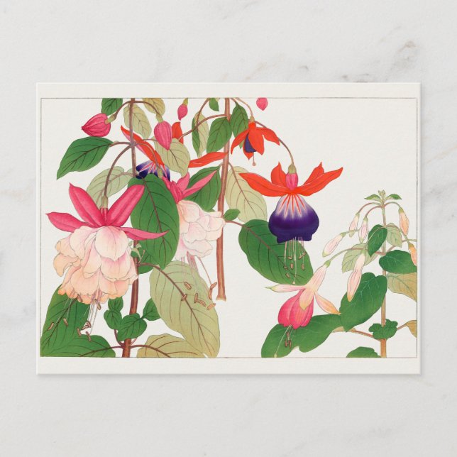 Postal Fuchsia de Tanigami Konan (Anverso)