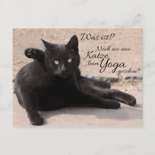 Postal ¿¿¿Fue esto??? Noch nie eine Katze beim Yoga Geseh