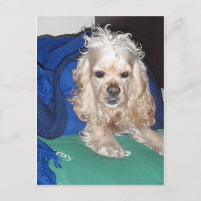 Postal Fue una noche dura