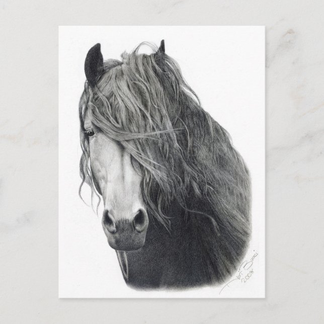 Postal Fuego (Anverso)