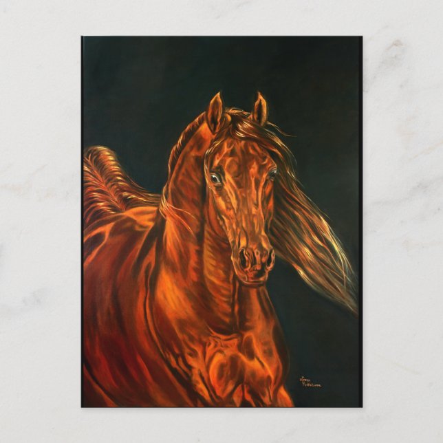 Postal Fuego (Anverso)