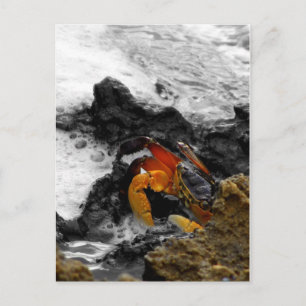 Postal Fuego en el mar