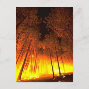 Postal Fuego forestal