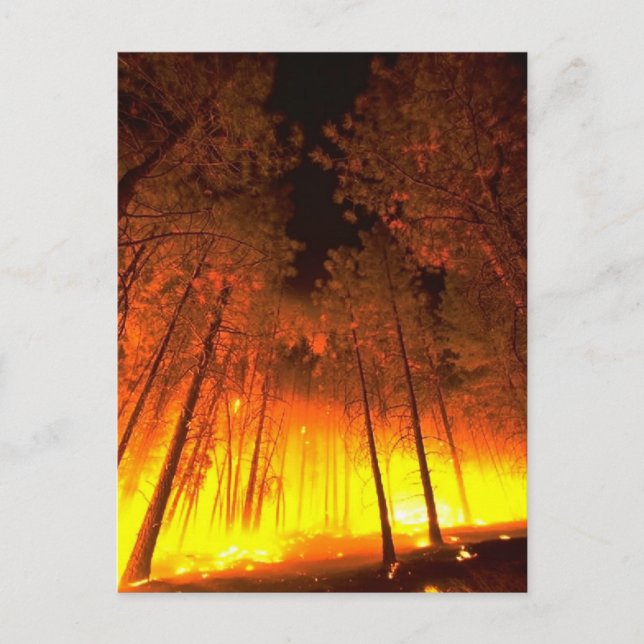 Postal Fuego forestal (Anverso)