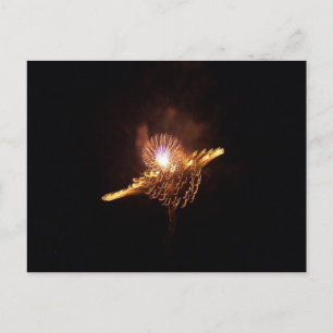 POSTAL FUEGOS DE FUEGO