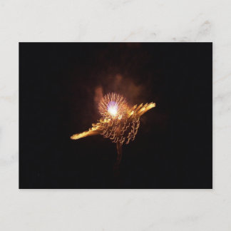 POSTAL FUEGOS DE FUEGO