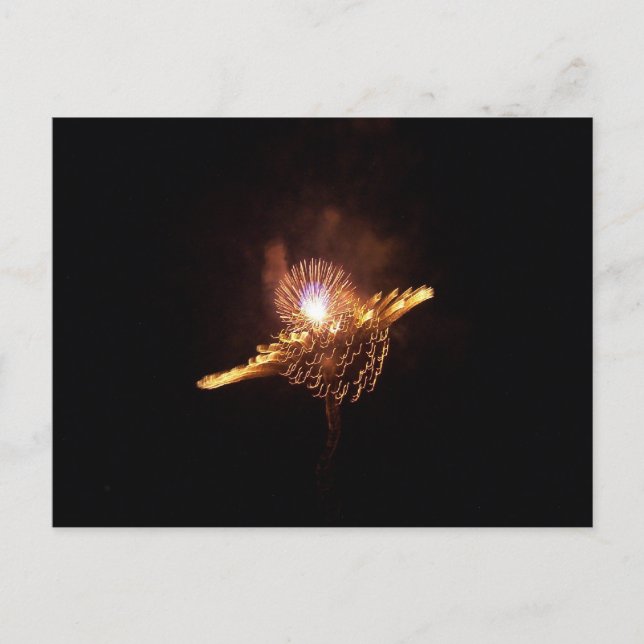 POSTAL FUEGOS DE FUEGO (Anverso)
