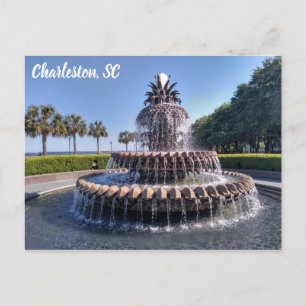 Postal Fuente de la Piña de Charleston Carolina del Sur