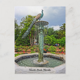 Postal Fuente de pavo real y jardín Rosa en Parque invern