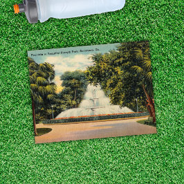 Postal Fuente en Forsyth Park Savannah GA Histórico