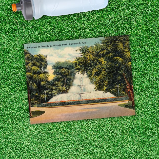 Postal Fuente en Forsyth Park Savannah GA Histórico (Subido por el creador)