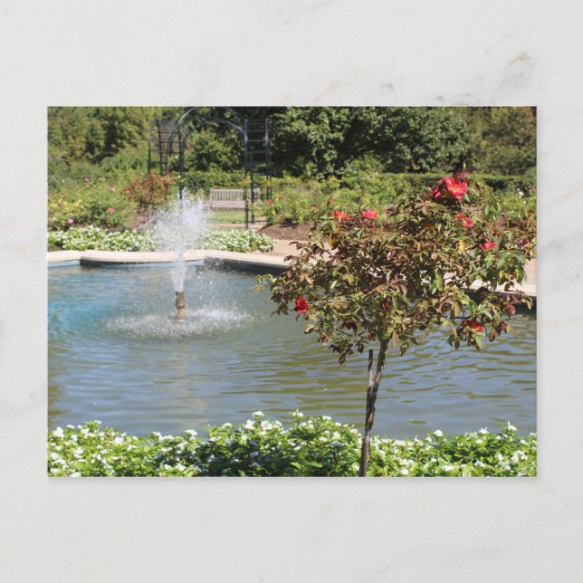 Postal Fuente Fort Worth Garden (Anverso)