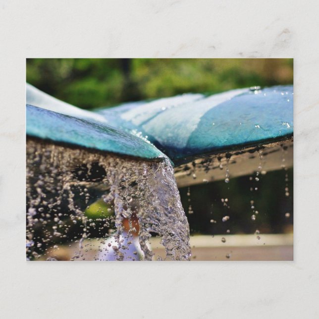 Postal Fuentes Del Acuario Birch De La Jolla (Anverso)