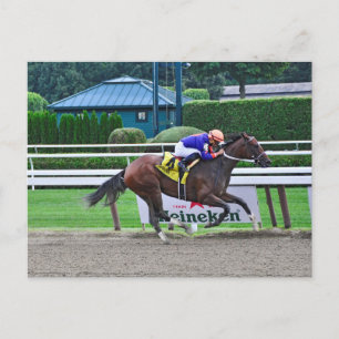 Postal Fuera de las pistas por Curlin & Harve De Grace